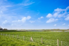 Scholekster 41_54.jpg